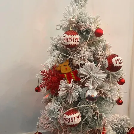 Apartament Opsesija *